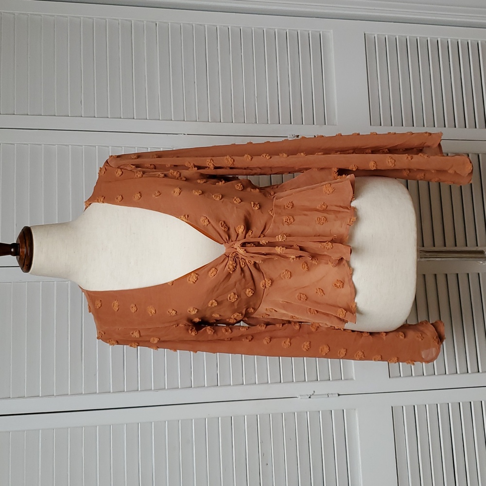 Altar'd State Burnt Orange Cropped Blouse